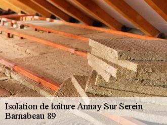 Isolation de toiture  annay-sur-serein-89310 Barnabeau 89