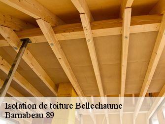 Isolation de toiture 89210