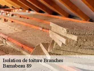 Isolation de toiture  branches-89113 Barnabeau 89