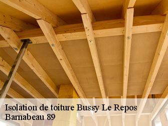 Isolation de toiture 89500