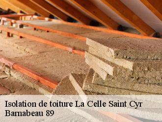 Isolation de toiture  la-celle-saint-cyr-89116 Barnabeau 89