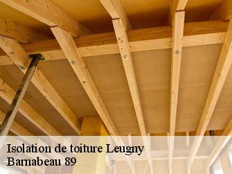 Isolation de toiture 89130
