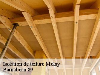 Isolation de toiture 89310