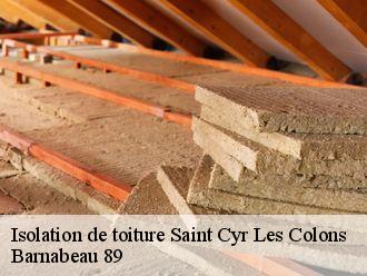 Isolation de toiture  saint-cyr-les-colons-89800 Barnabeau 89