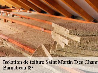 Isolation de toiture  saint-martin-des-champs-89170 Barnabeau 89