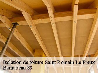 Isolation de toiture 89116