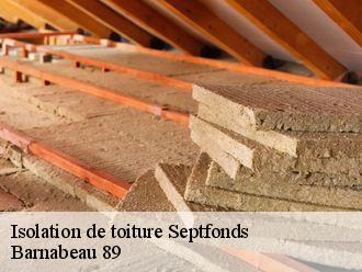 Isolation de toiture  septfonds-89170 Barnabeau 89