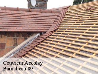Couvreur  accolay-89460 Barnabeau 89