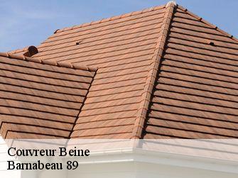 Couvreur 89800