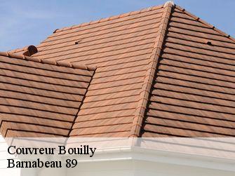 Couvreur 89600