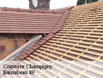 Couvreur  champigny-89370 Barnabeau 89