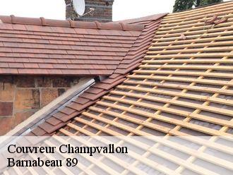 Couvreur  champvallon-89710 Barnabeau 89