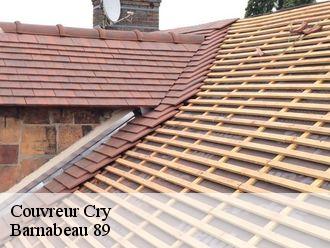Couvreur cry-89390 Barnabeau 89