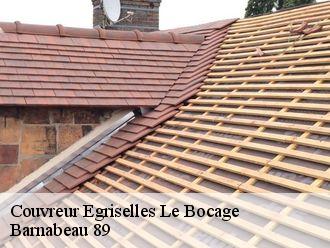 Couvreur  egriselles-le-bocage-89500 Barnabeau 89