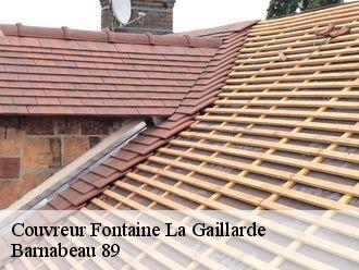 Couvreur fontaine-la-gaillarde-89100 Barnabeau 89