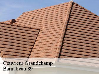 Couvreur 89350
