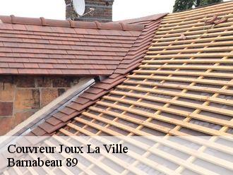 Couvreur  joux-la-ville-89440 Barnabeau 89