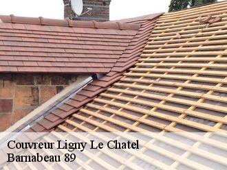 Couvreur  ligny-le-chatel-89144 Barnabeau 89