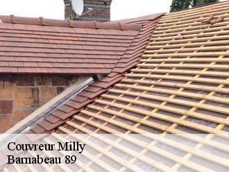 Couvreur  milly-89800 Barnabeau 89