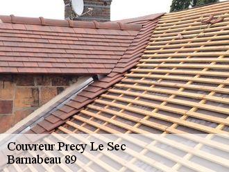 Couvreur  precy-le-sec-89440 Barnabeau 89