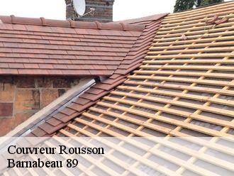 Couvreur rousson-89500 Barnabeau 89
