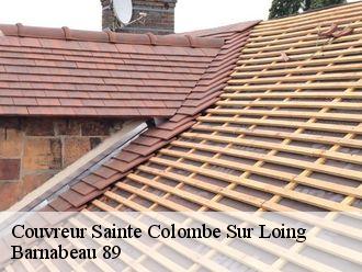 Couvreur  sainte-colombe-sur-loing-89520 Barnabeau 89