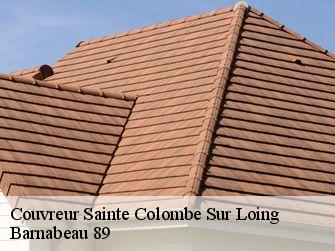 Couvreur 89520