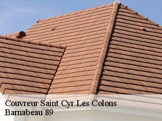 Couvreur 89800