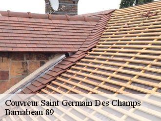 Couvreur  saint-germain-des-champs-89630 Barnabeau 89