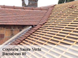 Couvreur sainte-vertu-89310 Barnabeau 89