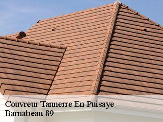 Couvreur 89350