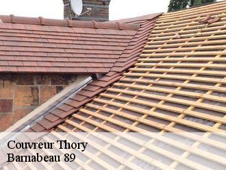 Couvreur thory-89200 Barnabeau 89